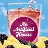 Crystal Light Liquid Blackberry Lemonade Naturally Flavored Drink Mix, 1.62