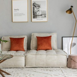 Rythome Set of 2 Comfortable Velvet Throw Pillow Cases Decorative Solid Cushion Covers for Sofa Couch and Bed - 16"x16", Rust