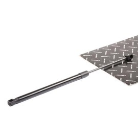 RIDEX Tailgate Damper 219G0611 Countryman (R60) 495 mm