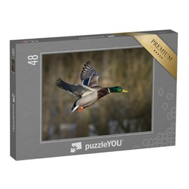 puzzleYOU: Jigsaw Puzzle 48 Piece Mallard in Flight - Ducks Puzzle Collection