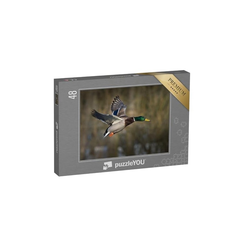 puzzleYOU: Jigsaw Puzzle 48 Piece Mallard in Flight - Ducks