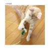 Doggy Man Catty Man Puffy Cat Buzzing Dragonfly Cat Cat