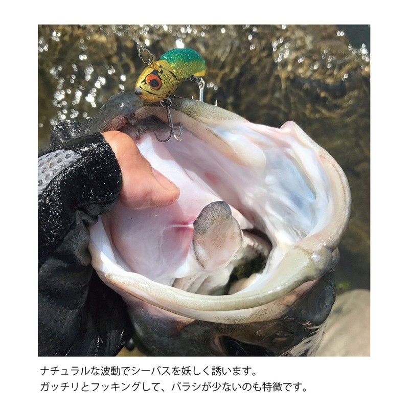 COREMAN Worm VJ-16#054 Gold Head/Flounder Pink