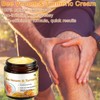 2Pcs Professional Bee Venom Joint,Bee Venom & Turmeric Cream,Natural Bee