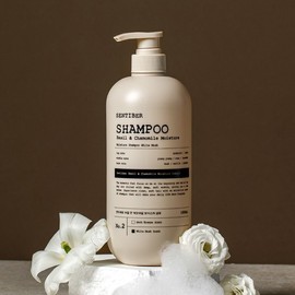 [64% Improvement in Scalp Odor] Centiver Basil & Chamomile Shampoo 1L x 1 Large Capacity Mildly Acidic Scalp Salon-Style Scented - Basil & Chamomile Shampoo 1L X 1 Count / [정수리냄새 64% 개선] 센티베르 바질 앤 캐모마일 샴푸 1L x 1개 대용량 약산성 두피 미용실 향기좋은 - 바질 앤 캐모마일 샴푸 1L X 1