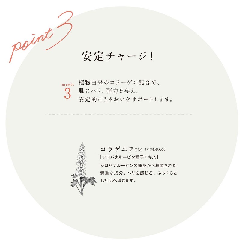 Chantor Charm Moist Charge Essence, 1.0 fl oz (30 ml),