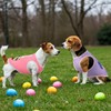 LyssKMK 4 Pack Easter Dog Shirts Easter Eggs Rabbit Tank