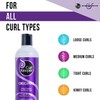 CURLY HAIR SOLUTIONS - Curl Keeper Original Liquid Styler 12