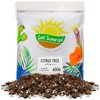 Soil Sunrise Citrus Tree Potting Soil Mix (12 Quarts) Special