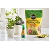 Miracle-Gro Cactus, Palm & Citrus Potting Mix and Succulent Plant