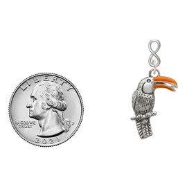 Delight Jewelry Silvertone Toucan Silvertone Infinity Post Earrings