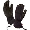 SEALSKINZ Men's Extreme Cold Weather Gloves - Black, Medium