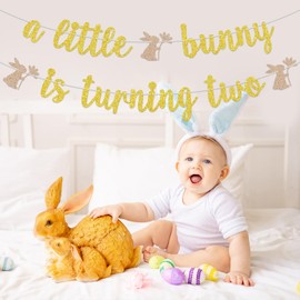 A Little Bunny is Turning Two Banner, Some Bunny is Two Sign, Rabbit 2nd Birthday, Spring Easter Happy 2nd Birthday Party Decorations