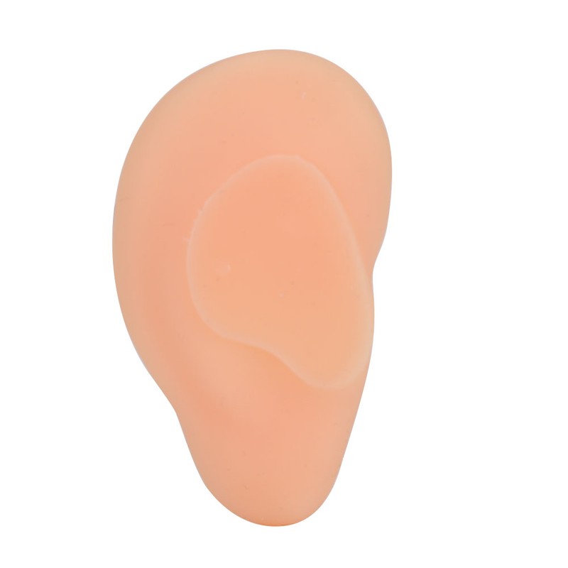 Professional Simulated Ear Model Acupuncture Practice Massage Teaching ToolLeft