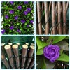 Garden Land Expandable Fence Privacy Screen for Balcony Patio Outdoor,Decorative