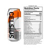 CELSIUS ESSENTIALS, Sparkling Orangesicle, Performance Energy Drink 16 Fl Oz