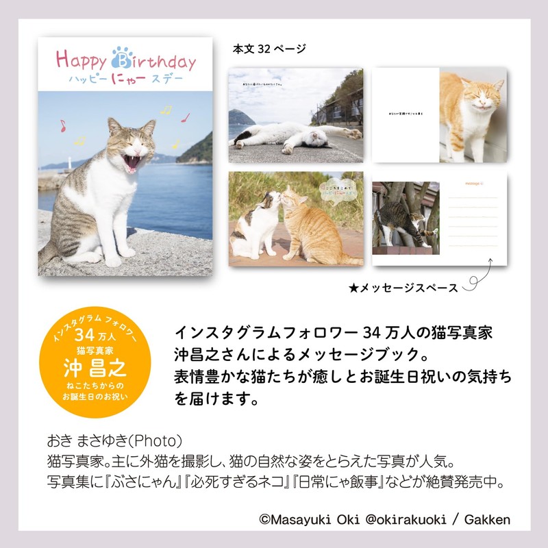Gakken Staful Birthday Card, Happy Birthday Masayuki Oki Cat B10045