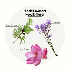 Apotheke Luxury Scented Oil Reed Diffuser for Home (Hinoki Lavender) - Home Fragrance Diffuser Set with Sticks