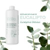 Hidrolato De Eucalipto Puro Refrescante, Astringente 500 Ml