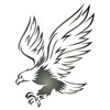 Eagle Stencil - 11.5 x 15cm (S) - Reusable Bird