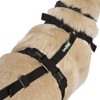 Ortocanis - Full Body Harness for Front and Rear Legs