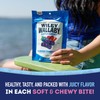 Wiley Wallaby Licorice 10 Ounce Classic Gourmet Soft & Chewy