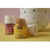 Pebeo 024-044 1-Piece 45ml Porcelaine 150 China Paint 45-Milliliter Bottle,