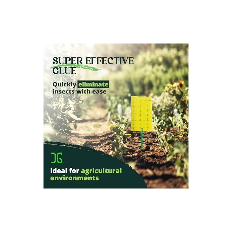Catchmaster Double-Sided Sticky Traps for Pest Control - 72 Pack