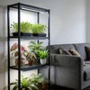 Vshape T8 Grow Light for Indoor Plants, 2FT, 24W, 5000K,