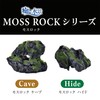 Healing Water Landscape Moss Rock Hide