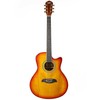 Oscar Schmidt OA10CE Mini Auditorium Acoustic-Electric Cutaway Guitar - Spalted