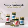 GinSen Bladder Water Support 150 Capsules | Helps Bladder Health,