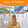 Dog Agility Training Equipment Set Outdoor Indoor Game, Tire Jump