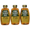 Golden Blossom Honey 24 Oz (3 Pack)