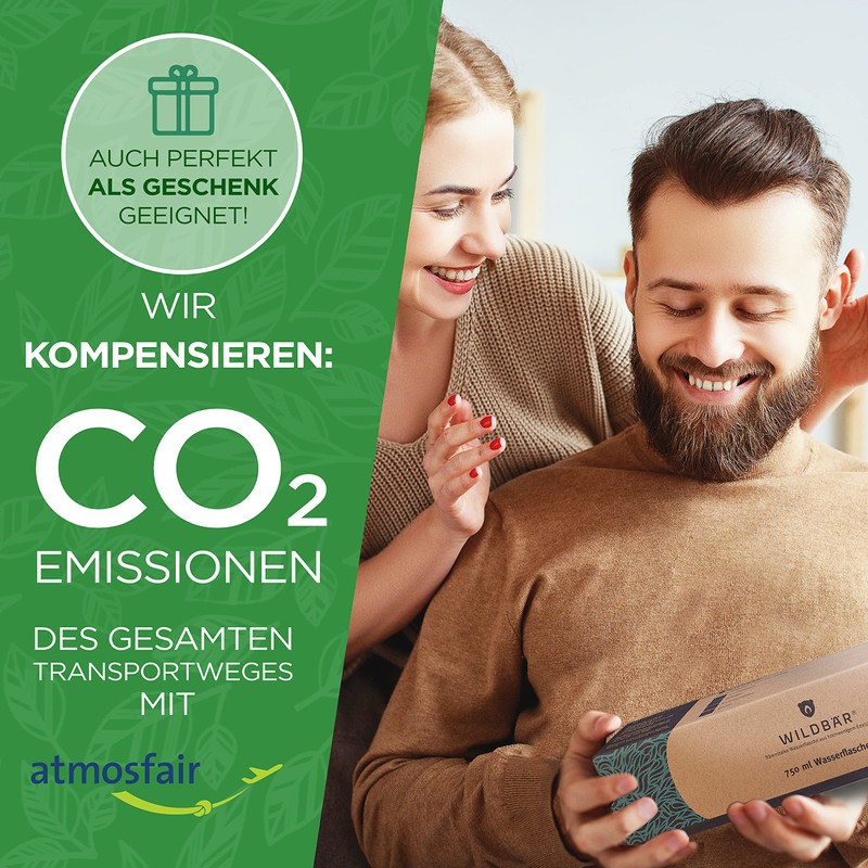 Wildbär Perfect Stainless Steel Bottle, 350 ml