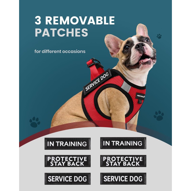 FAYOGOO Service Dog Vest for Small Breed - Lightweight Dog