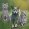HONLANCH Animal Cat Series Shorthair Blue Cat Micro Building Blocks