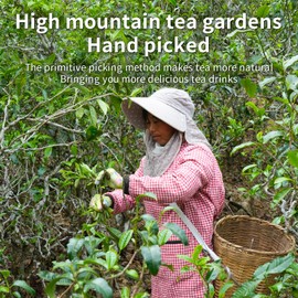 XIHETANK Black Tea Bags, 100 Count,Ancient Tree Black Tea,Full Sweetness Taste,Containing Caffeine, 100% Natural,Can Be Soaked Hot or Cold (Honey Fragrant Black Tea)