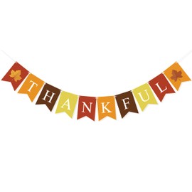 FAKTEEN Thankful Banner Thanksgiving Day Decorations for Mantle Fireplace Fall Banner Garland Autumn Harvest Home Decor Fall Photo Props Wall Hanging Bunting Assembled Thanksgiving Party Supplies