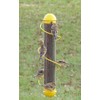 Bird Quest SBF2Y 17" Spiral Thistle Bird Feeder - Yellow
