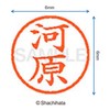 Shachihata Stamp Name 6 Correction Stamp XL - 6 Stamp