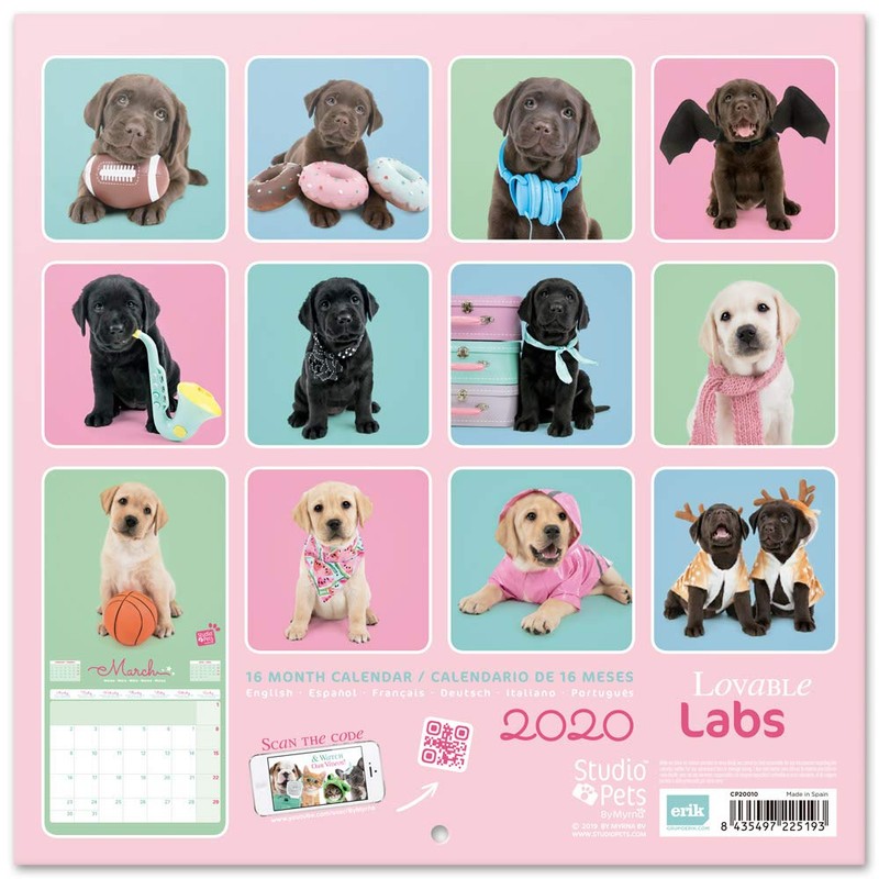 ERIK - Studio Pets Lab 2020 Wall Calendar, 16 Months,