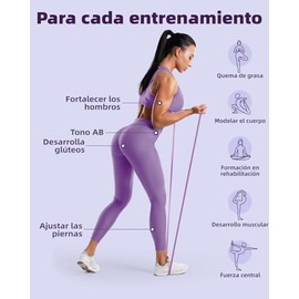 Fitense Ligas de Resistencia para Ejercicio, Bandas para Pull Up con Ancla de Puerta, 4 Niveles, Incluye Póster de Entrenamiento y Bolsa para Gimnasio