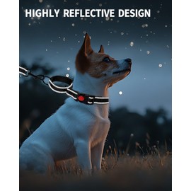 HSIGIO Martingale Dog Collar, No Slipping Out Reflective Puppy Collar with Quick Release Buckle, Heavy Duty Adjustable Dog Collar with Safety Lock for Small Medium Large Breed Dogs, Black, M