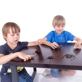 Odowalker 6pcs Lifelike Assorted Insects Model Bug Figures Plastic Insects for Children Education Insect Themed Party