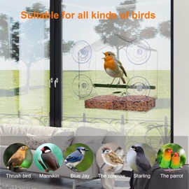 Lupfung Window Bird Feeder, Bird Feeders for Outdoors Hanging, Window Bird Feeders with Strong Suction Cups, Bird House Shape Décor, Fits for Cardinals, Finches, Chickadees etc.（Acrylic）
