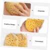 Set de 4 Esponjas Exfoliantes y Lufa para Ducha HAPINARY