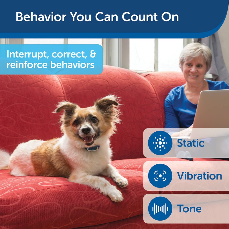 PetSafe 100 Meter Lite Remote Trainer