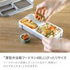 Foodman DSK Thin Bento Box, Antibacterial 13.5 fl oz (400