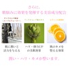 R.A.C Hydro Cream Serum (All-in-One), Refreshing Type, Skin Refreshing Ingredients